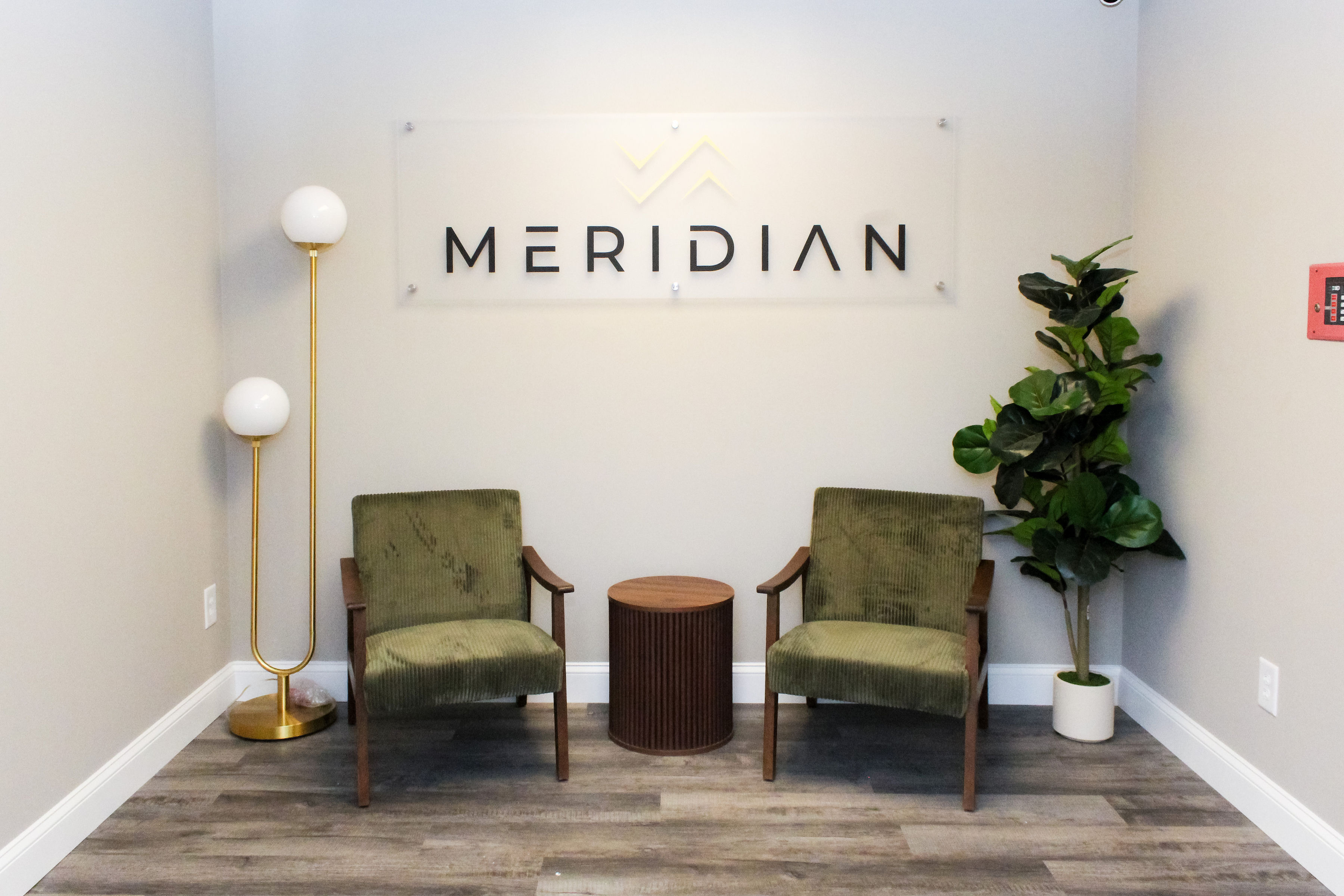 Meridian Recovery Image