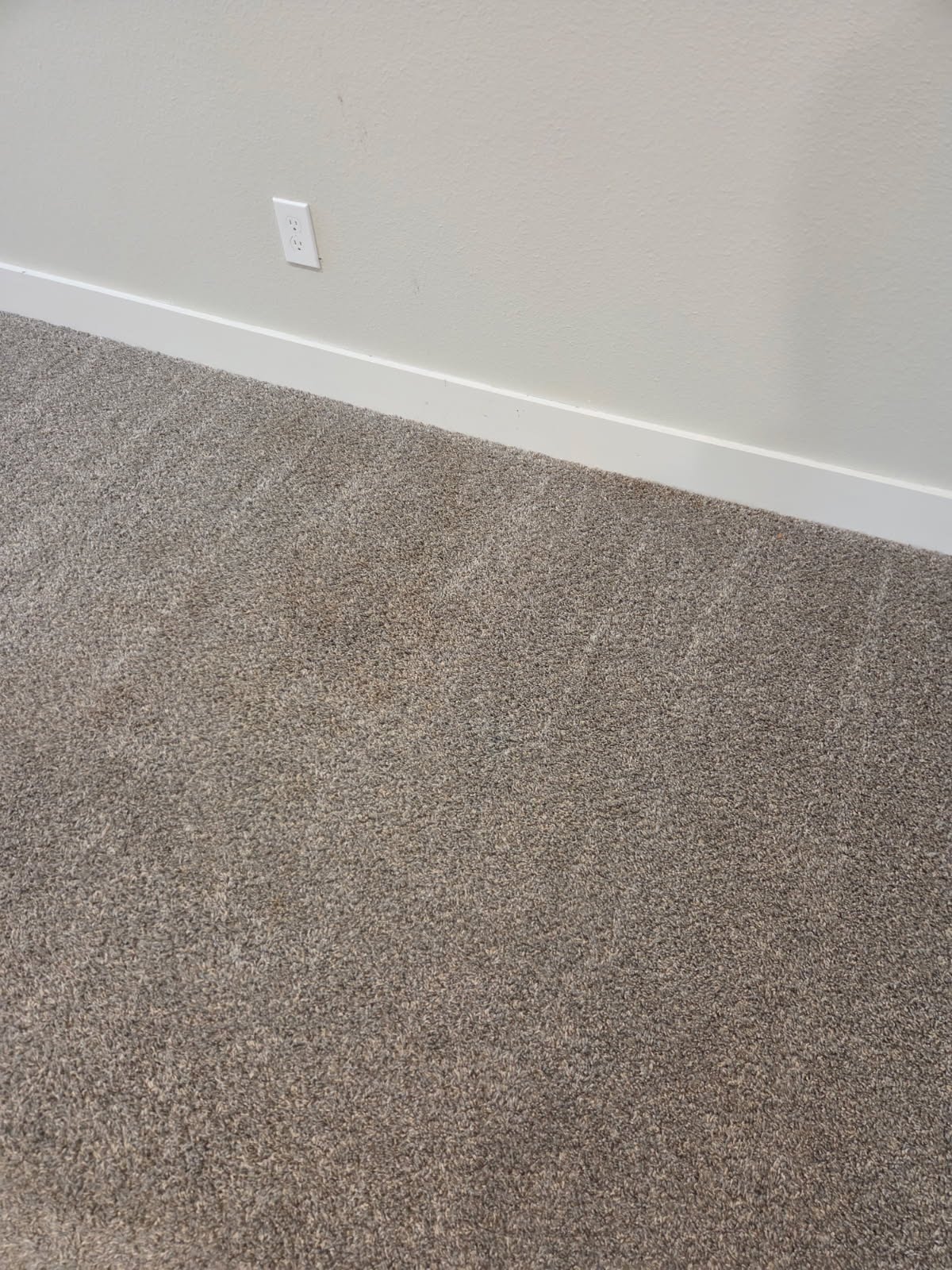 Carpet cleaners spring tx