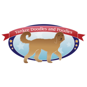 Yankee Doodles and Poodles Logo