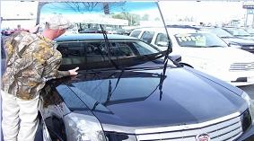 Auburn Auto Glass & Dent