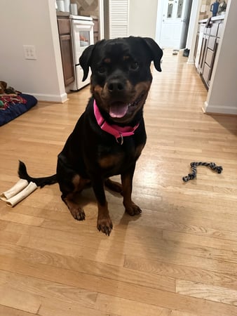 Images Michelle Belesky - State Farm Insurance Agent