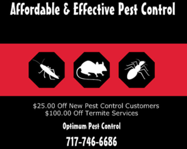 Images Optimum Pest Control