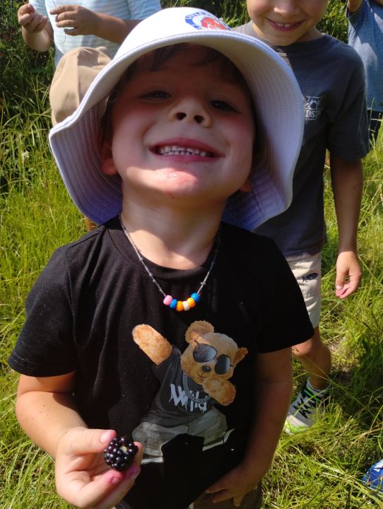 Little Folks Farm & Childcare Image