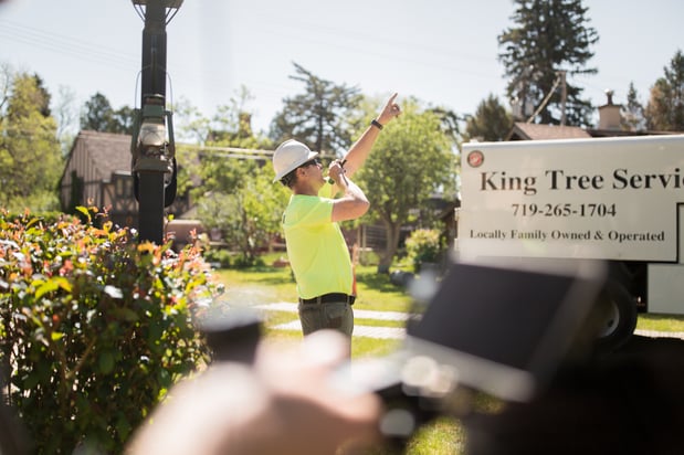 Images King Tree Service