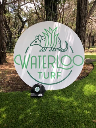 Images Waterloo Turf Austin