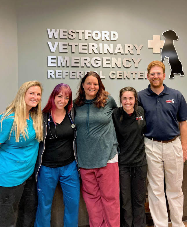 Images Westford Veterinary Emergency and Referral Center