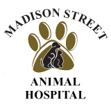 Madison Street Animal Hospital