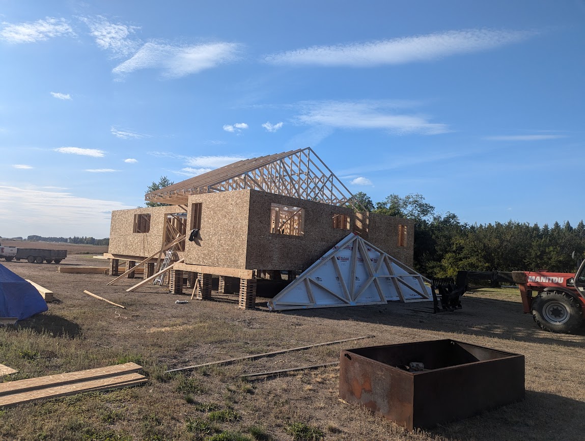 Images The Blue Spruce Builder
