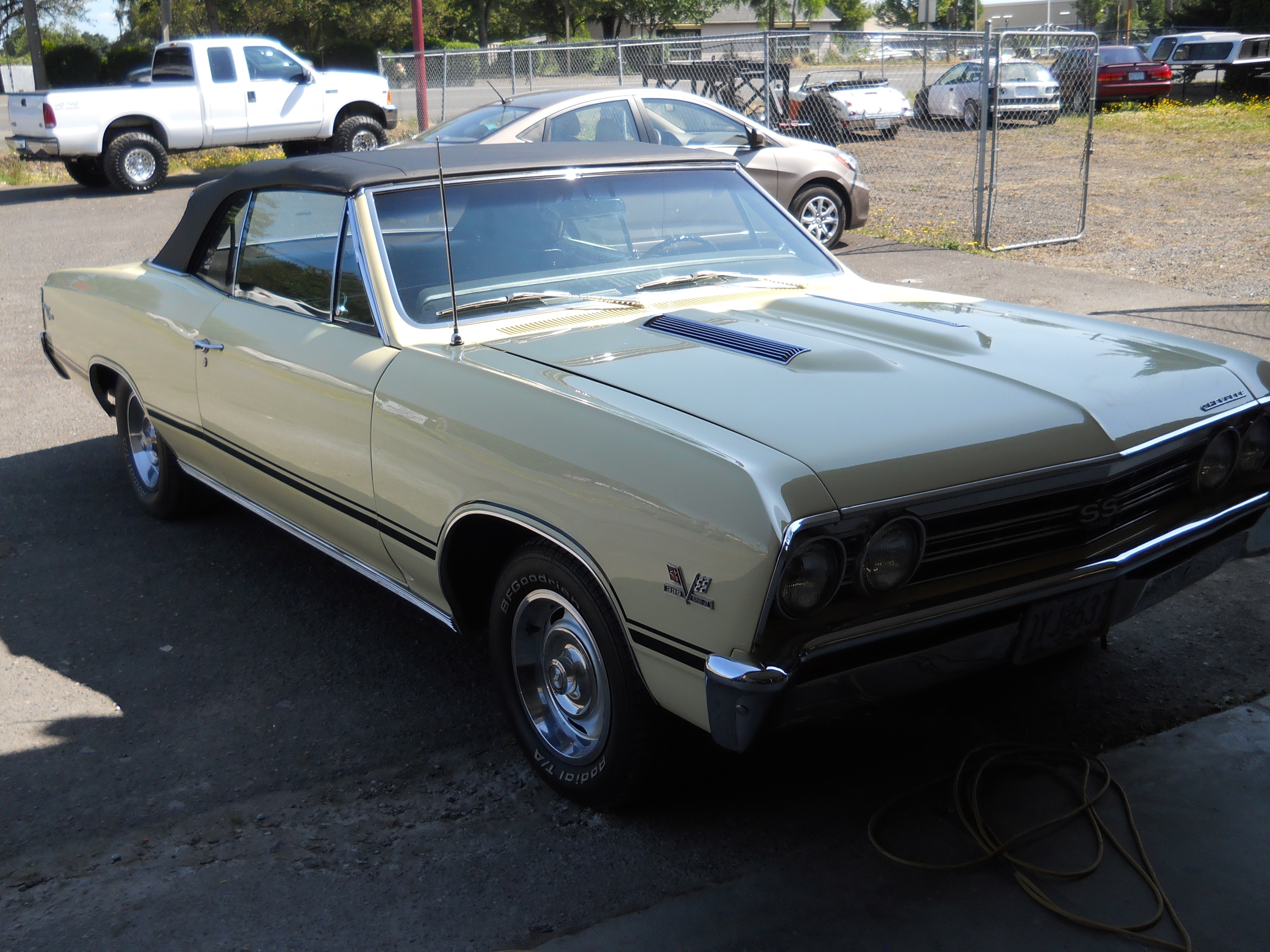 Aloha Auto Body And Paint Reviews Aloha Auto Body And Paint Reviews