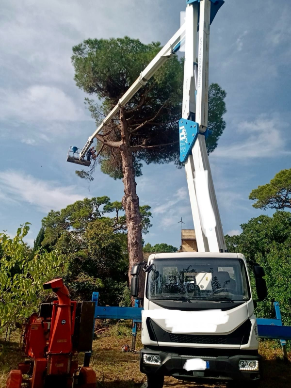 Images Casa della Legna Manutenzione del Verde