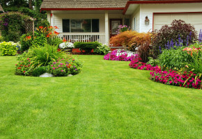 SP & LC Landscape Contractors Photo