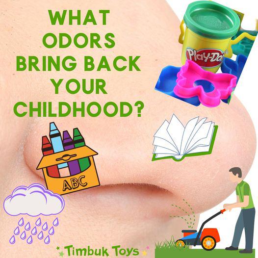 Images Timbuk Toys - Aspen Grove Center
