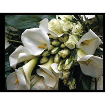 Images Onoranze Funebri Zamboni Omar