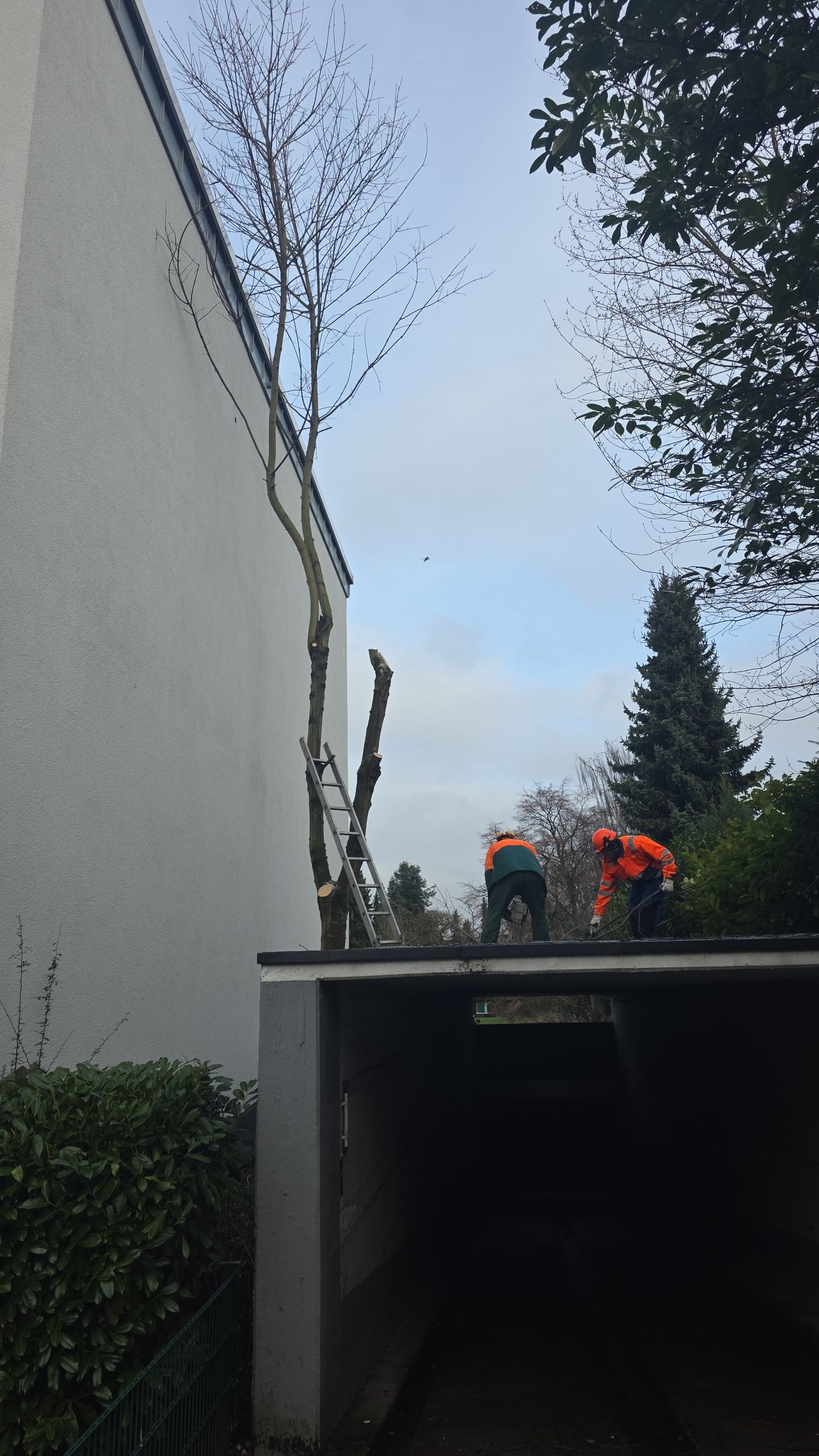 Hausmeisterservice Dymura, Schildsheider Str. 39 in Erkrath