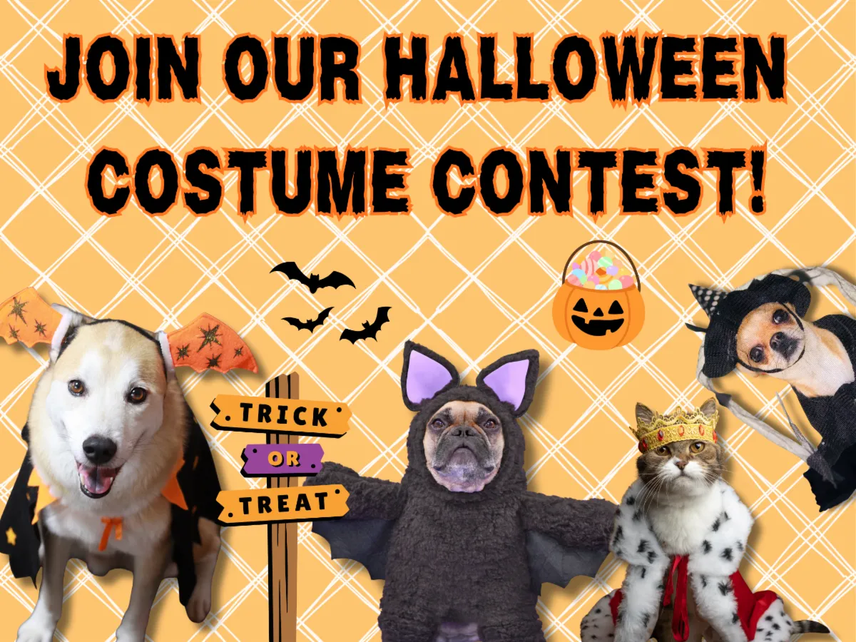 Image of Local Pet Event Halloween Costume Contest! Nearby
