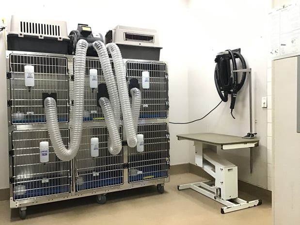 Images Petco Grooming