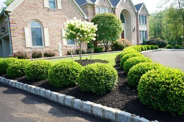 Images Sultan Services LLC
