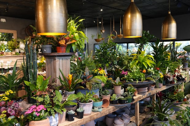 Images The Nested Fig Garden