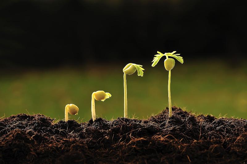 Images Est - Scienze e Tecnologie per L'Ambiente