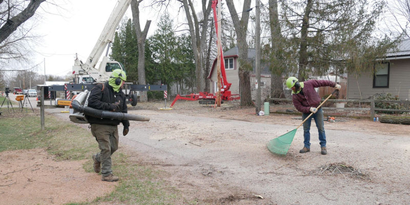 We offer thorough lot clearing services you can trust.