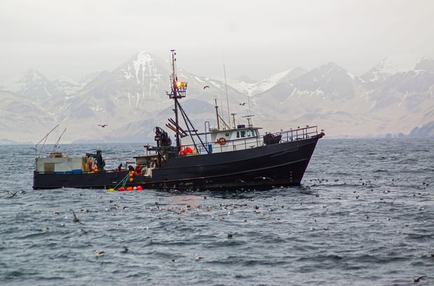 Images Pacific Ocean Marine Insurance Brokers, Inc.