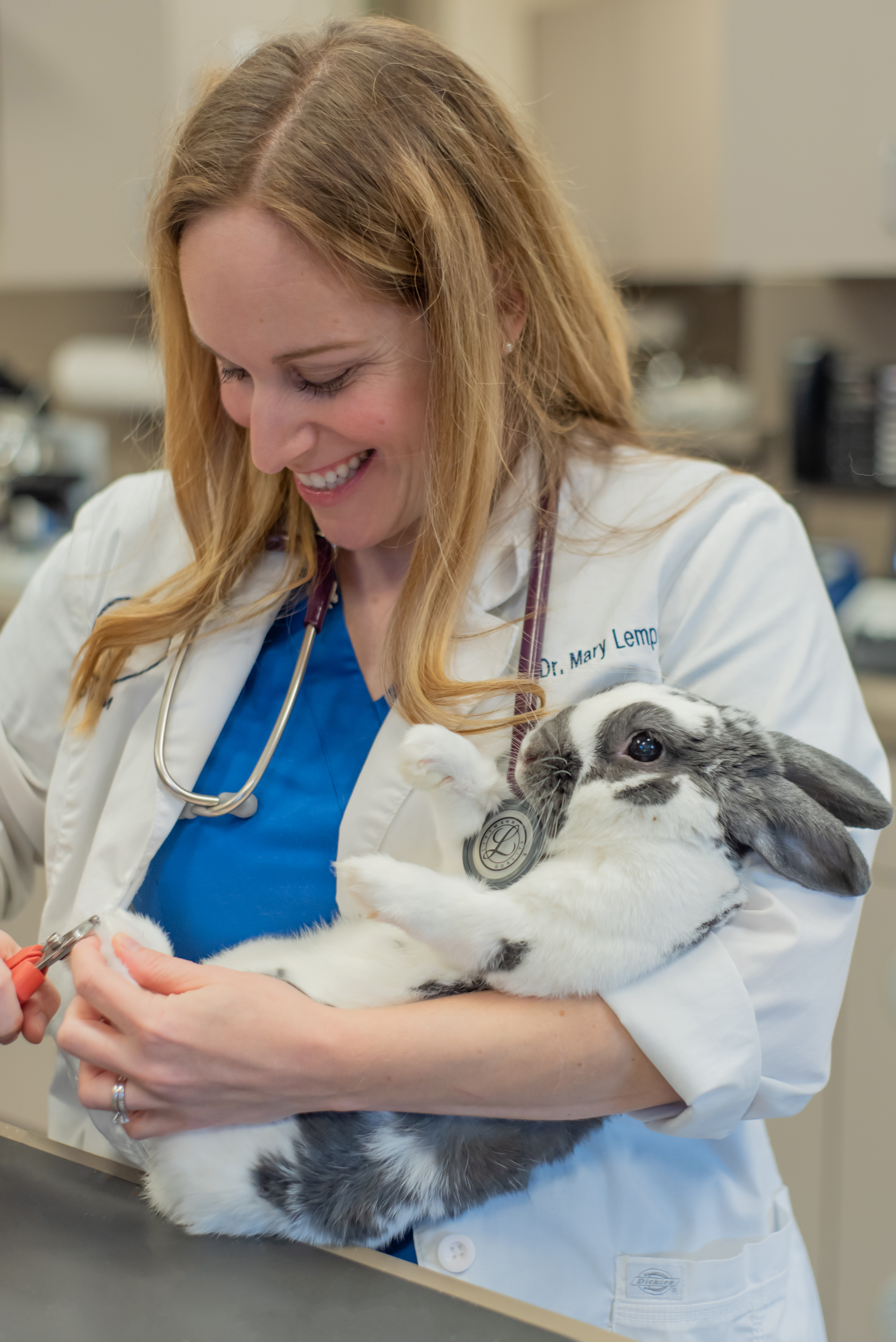 Image 7 | White Rock Veterinary Hospital