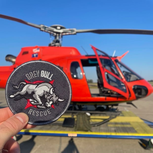 Images Grey Bull Rescue Foundation