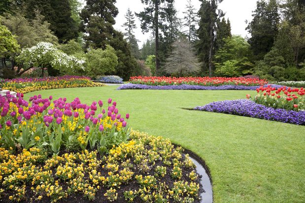 Images Steve's Lawncare and Construction