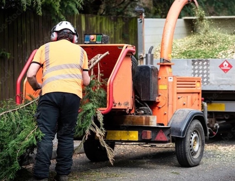 J.D’S Gardening & Tree Service 3