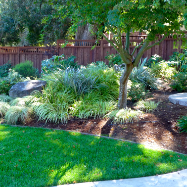 Tim's Lawn Service Logo