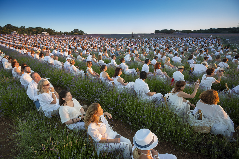 Images Sillasalquiler.com