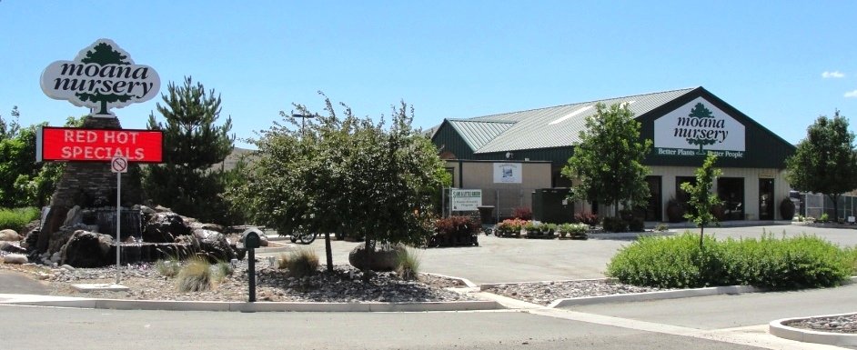 moana nursery in sparks nv 89431 chamberofcommerce com moana nursery in sparks nv 89431 chamberofcommerce com
