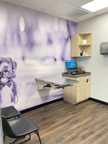 Images CityVet | Cedar Hill Veterinary Clinic & Urgent Care
