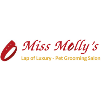 Miss Molly's Lap of Luxury Grooming Salon