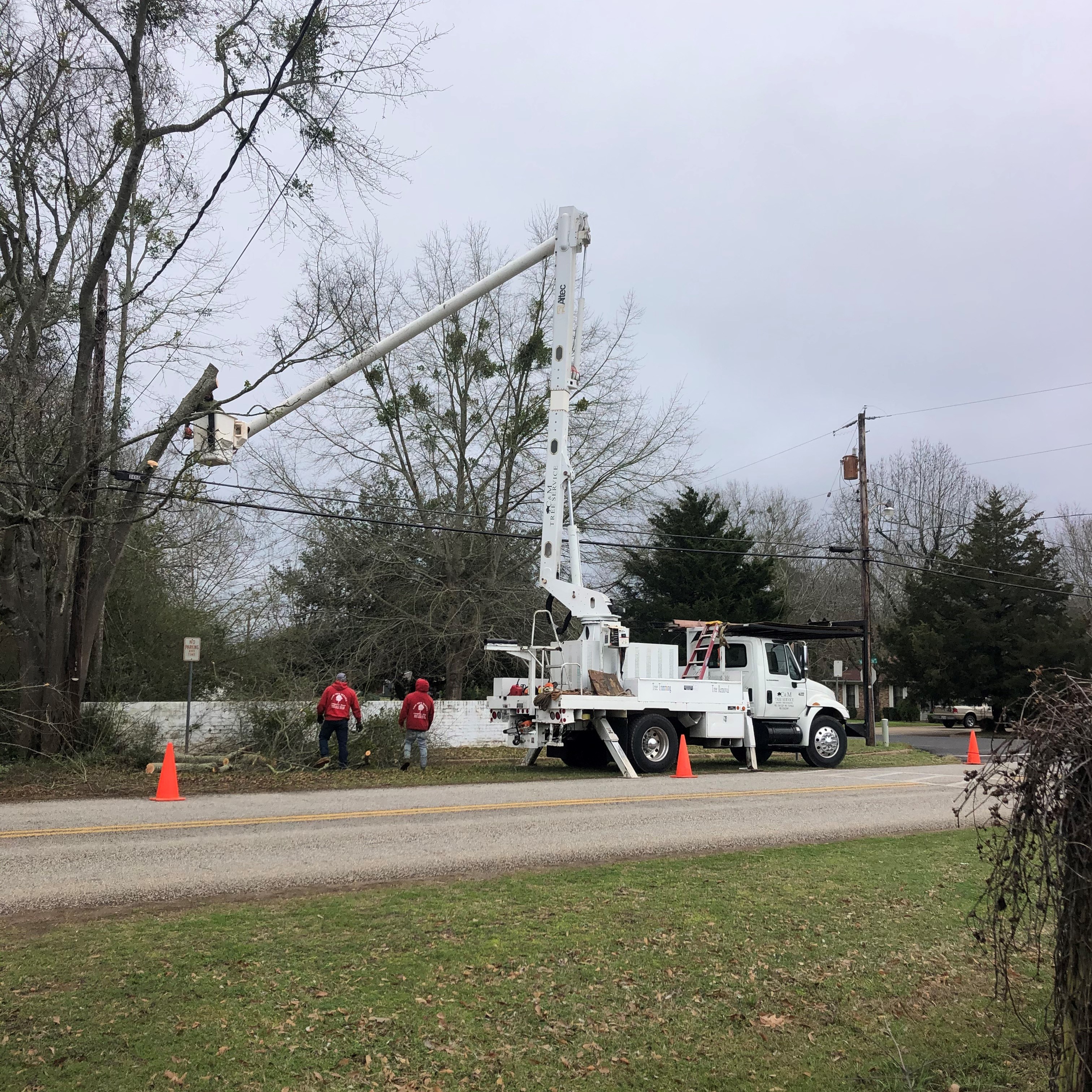 C&M Tree Service