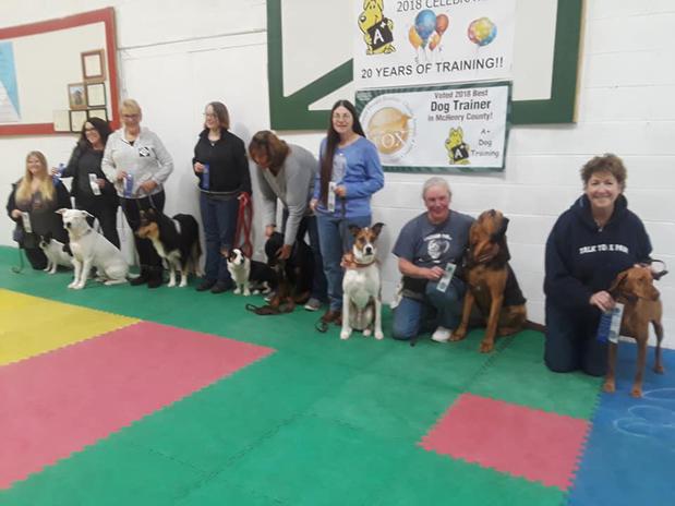 Images A+ Dog Training