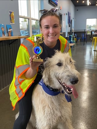 Images Crate Escapes Dog Park + Bar