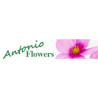 Antonio Flowers & Gifts Logo