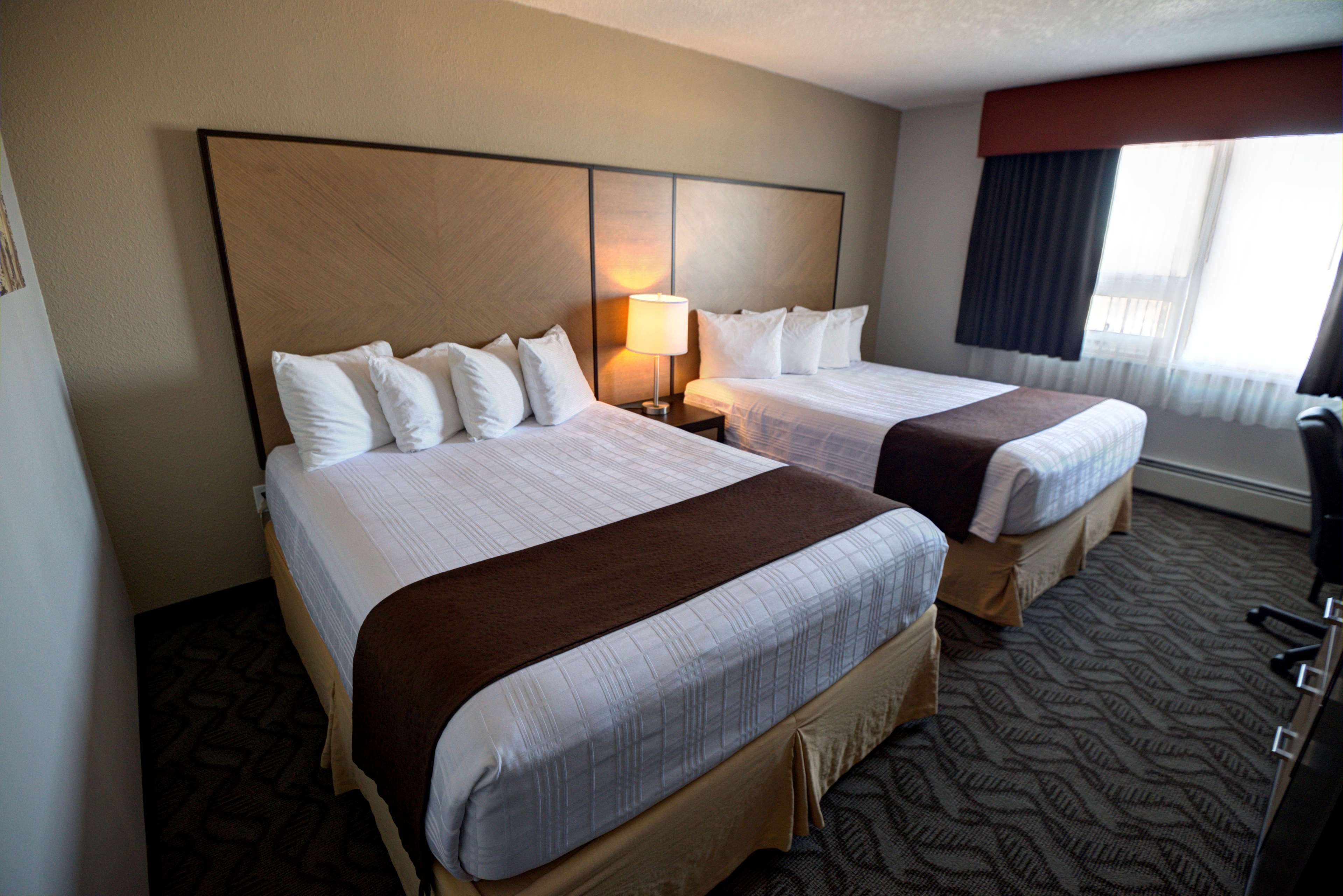 Best Western Airdrie in Airdrie: Guest Room
