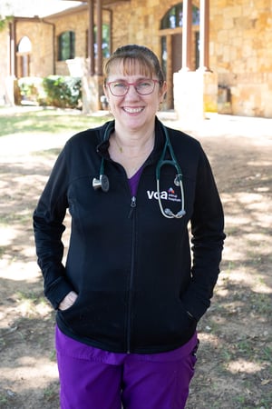 Images VCA Angel Animal Hospital