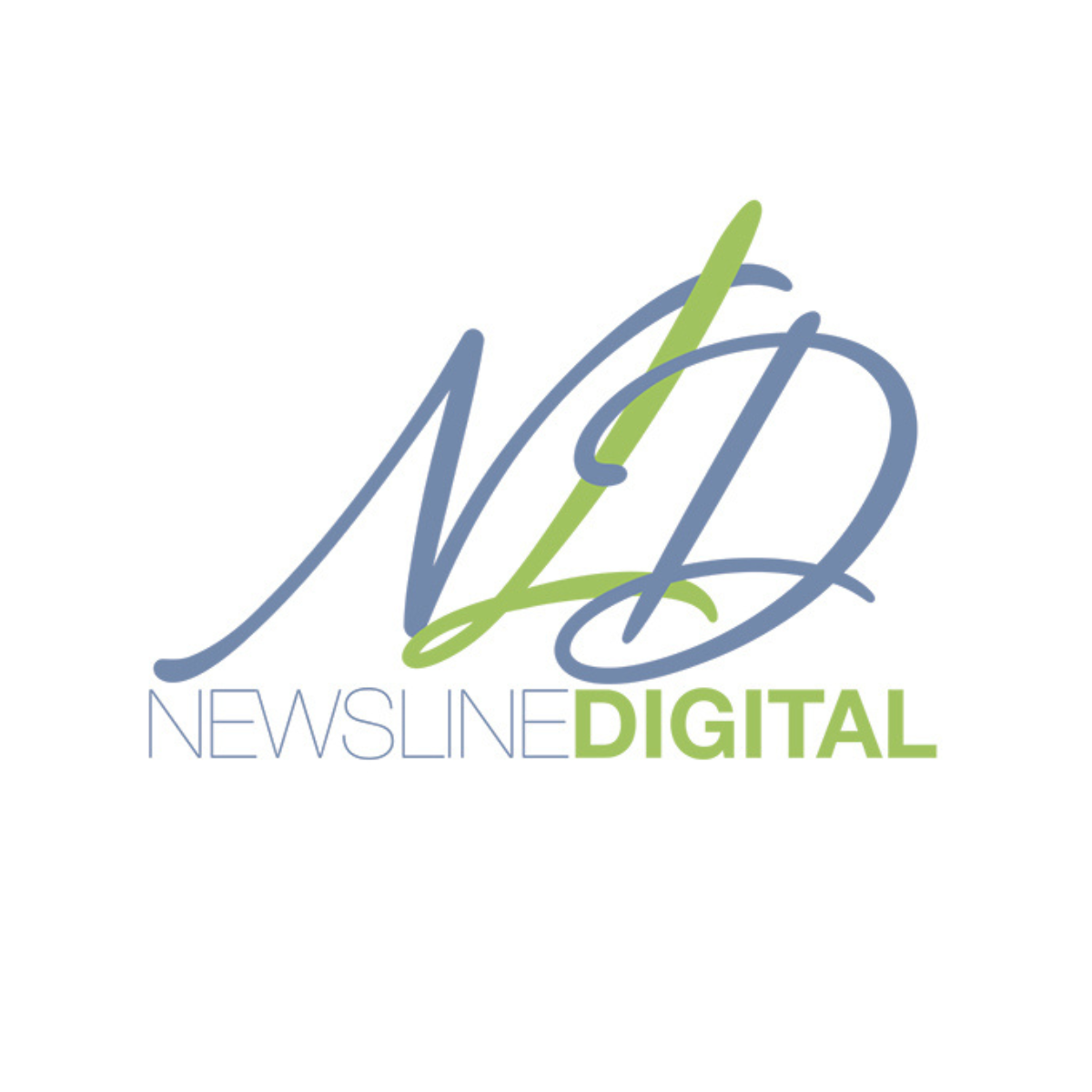NewsLine Digital Marketing Logo