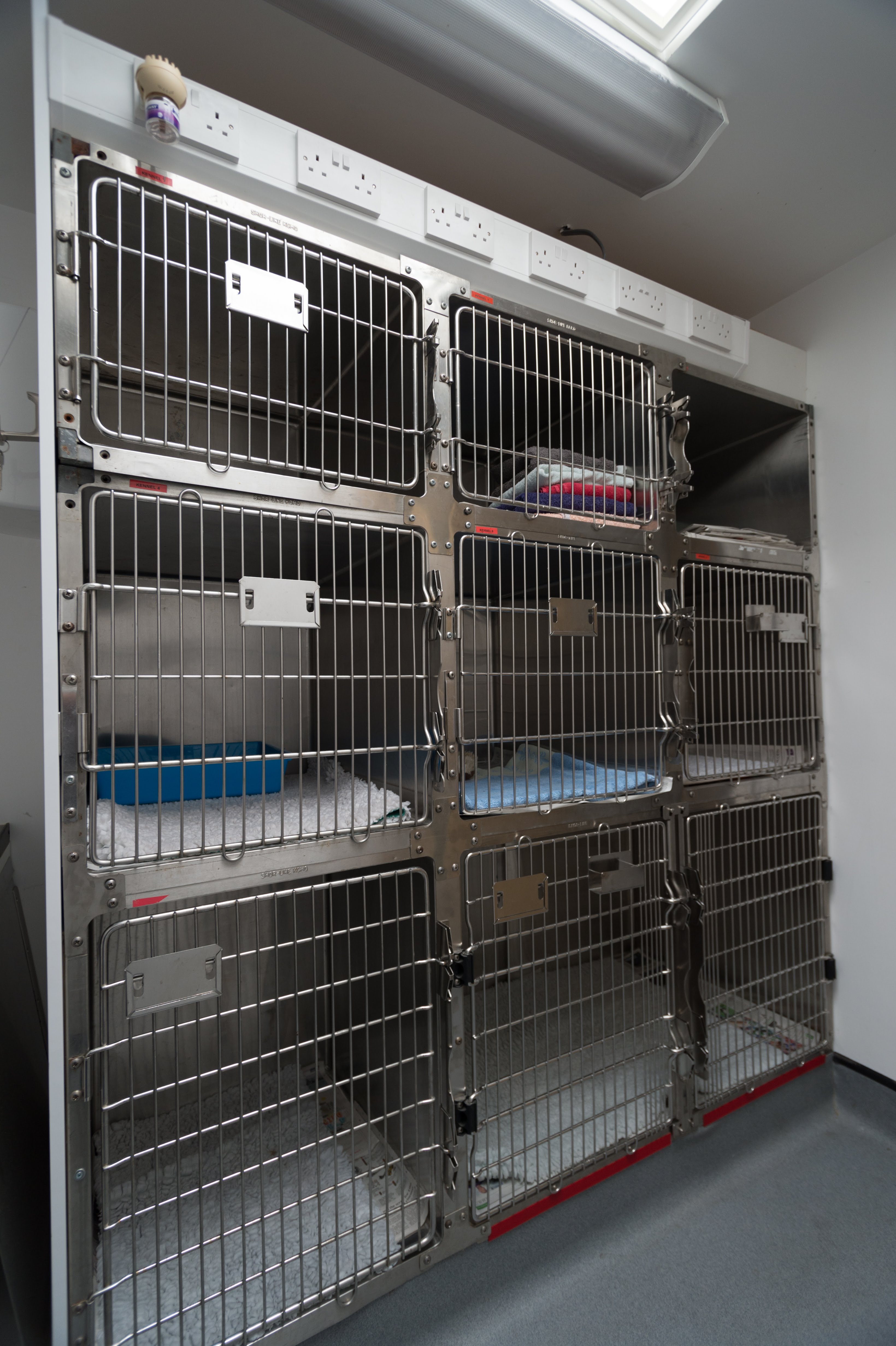 Images Streatham Hill Veterinary Surgery