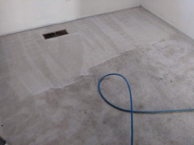 Images Joe's Carpet and Upholstery Cleaning