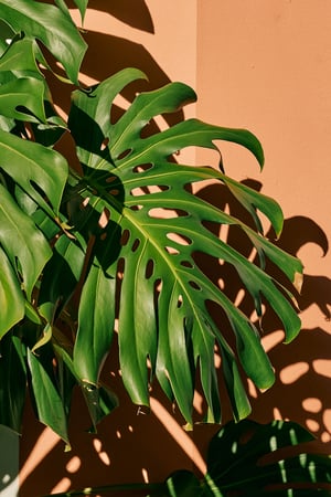 Images Avalon Hotel Beverly Hills