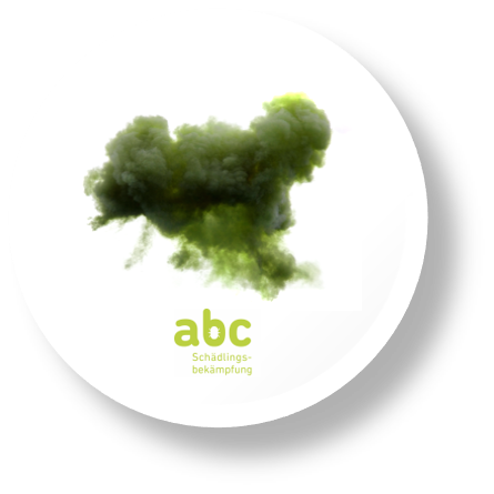 abc- Schädlingsbekämpfung Kammerjäger, Hauptplatz in Schwyz