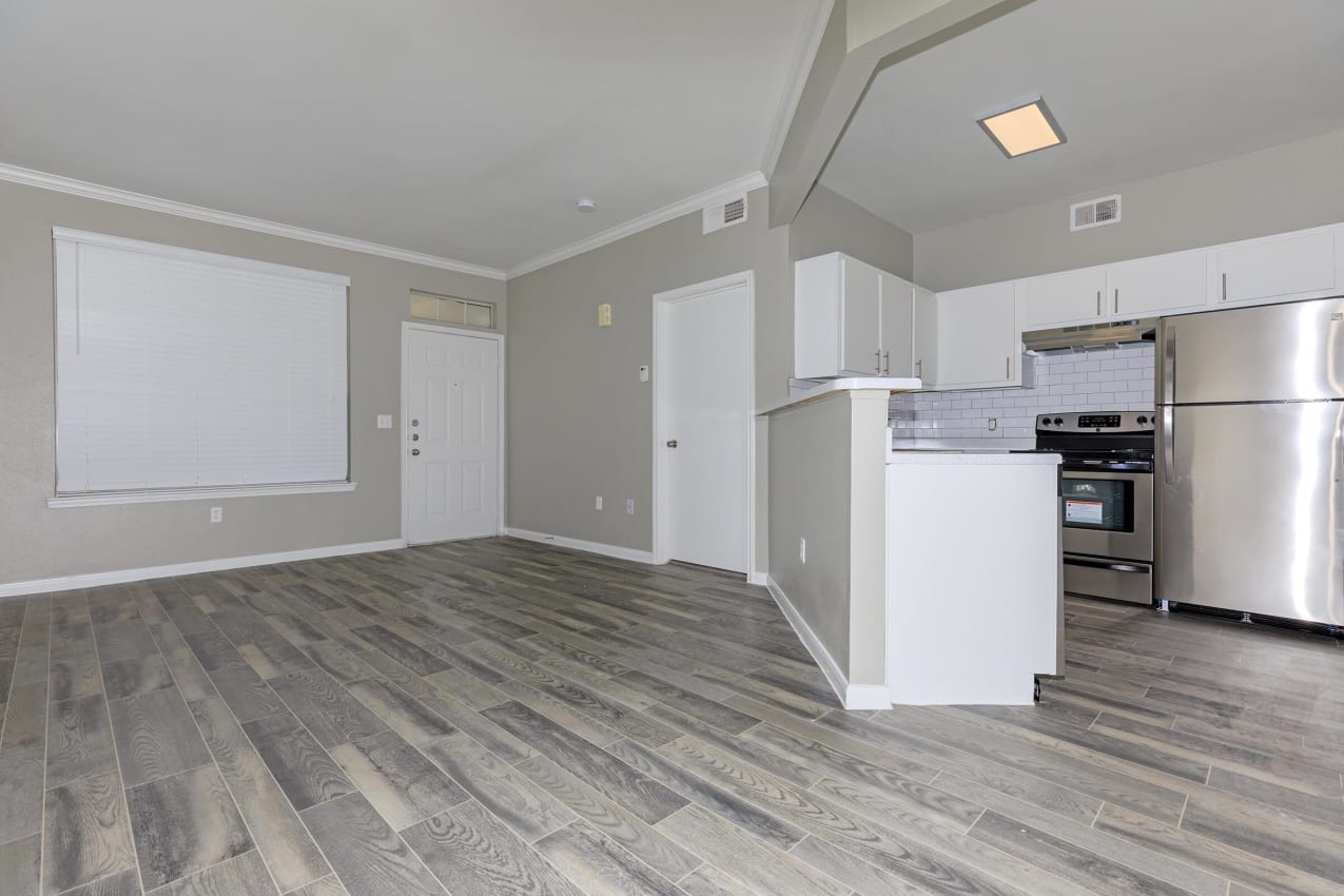 Living room and kitchen