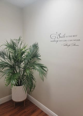Images Brian Snyder, DDS