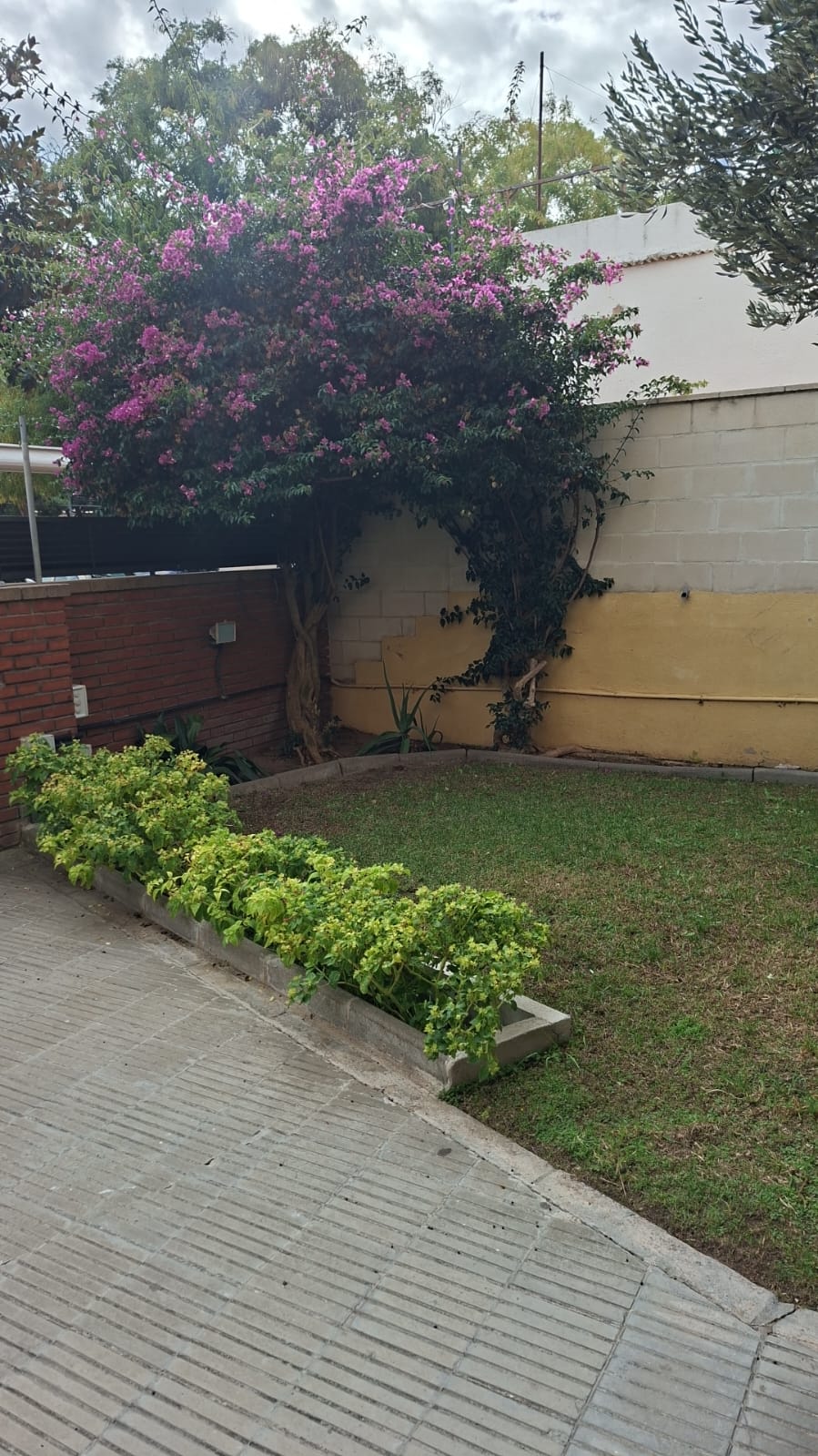 Images Limpiezas Yemil