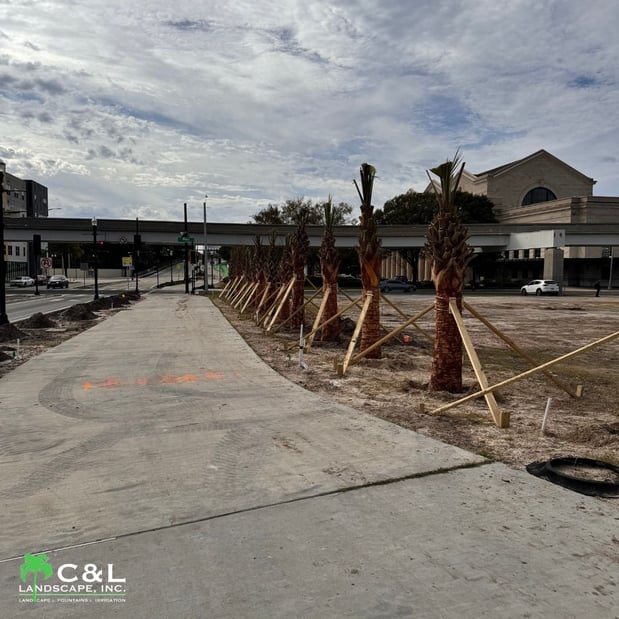 Images C & L Landscape