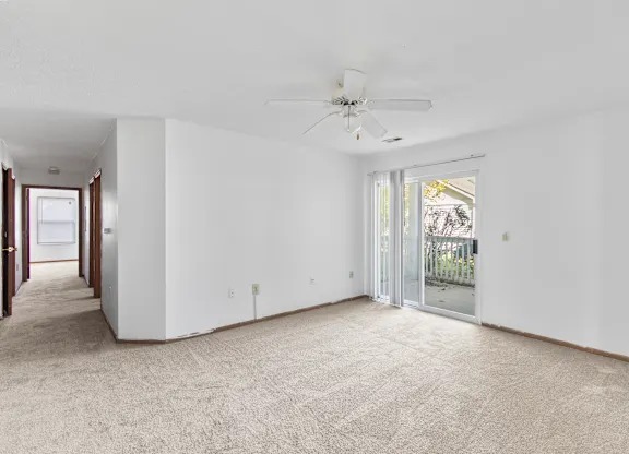 Spacious Room 